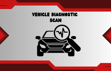 Vehicle Diagnostic scan